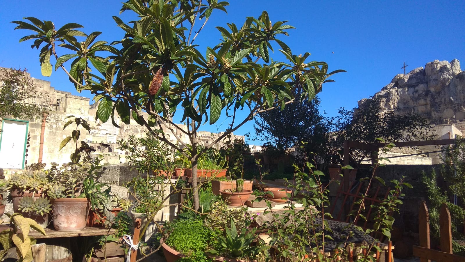 Concorso Antonio Guanti (Matera 2018)